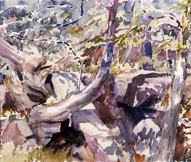Robert Spellman watercolor of sunlit Vermont woods.